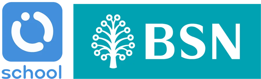 BSN and Orijin School logos